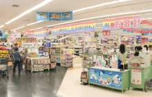 ダイソーシマダヤ土佐店